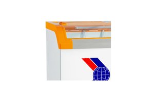 Tủ đông Sanaky 500 lít VH-899KA