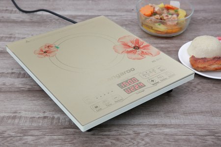 Bếp từ Kangaroo KG418I