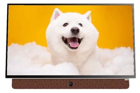Google Tivi Xách Tay Di Động Full HD Coocaa 24 Inch 24LP6000G