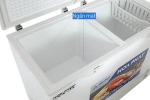 Tủ đông Hòa Phát 271 Lít HPF BN6271