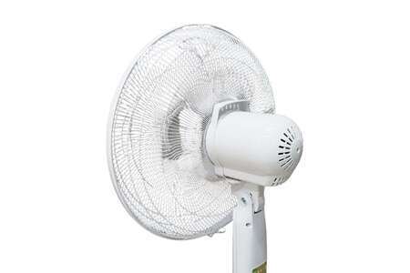 Quạt cây Hitachi 55W LF-A6RCWN