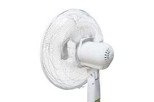 Quạt cây Hitachi 55W LF-A6RCWN