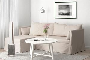 Máy lọc không khí kết hợp sưởi LG PuriCare AeroTower FS15GPCJ0.ABAE 40W