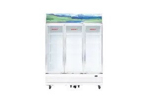 Tủ mát Sanaky Inverter DAVH-1520HP3