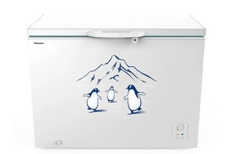 Tủ đông Hisense 300 lít FC380D4EWC1