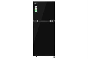 Tủ lạnh LG Inverter 217 lít T21BG