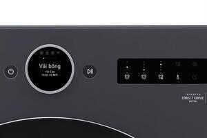 Máy giặt sấy LG Inverter giặt 17 kg - sấy 10 kg F2517RNTG