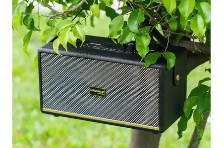 Loa Karaoke xách tay Nanomax K-06 bass đôi 10cm 60W