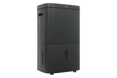 Máy hút ẩm kết hợp lọc không khí Electrolux EDH16TRBD3