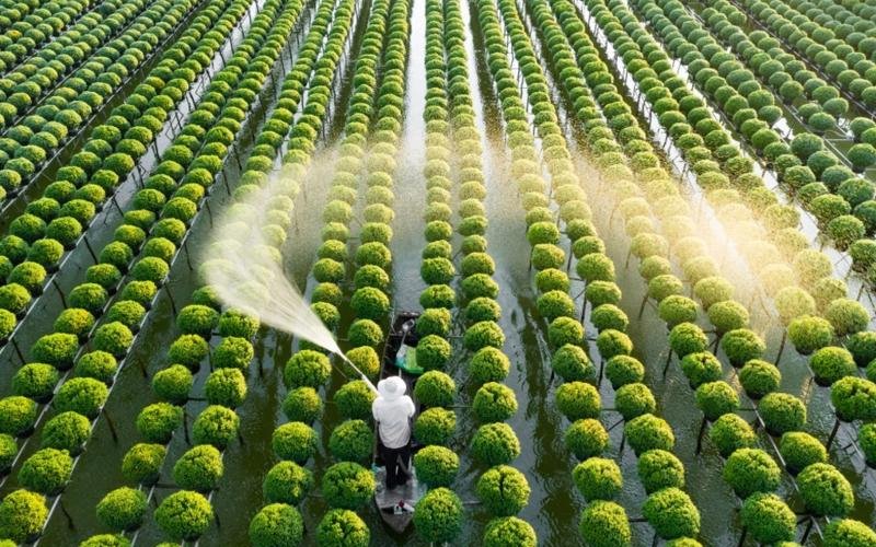 CHO PHÉP ĐĂNG KÝ SIM QUA CUỘC GỌI VIDEO 17