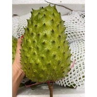 Mãng cầu xiêm (800g ~ 1kg/ trái)