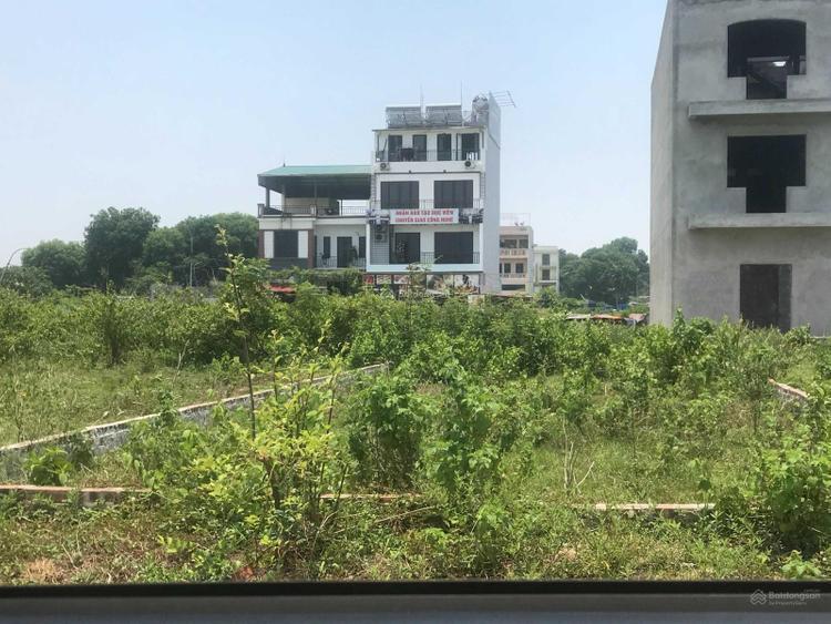 phân khúc bất động sản nào là điểm nóng của thị trường 2024?