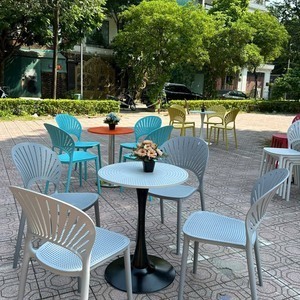 Ghế Nhựa Đúc Lưng Cánh Hoa