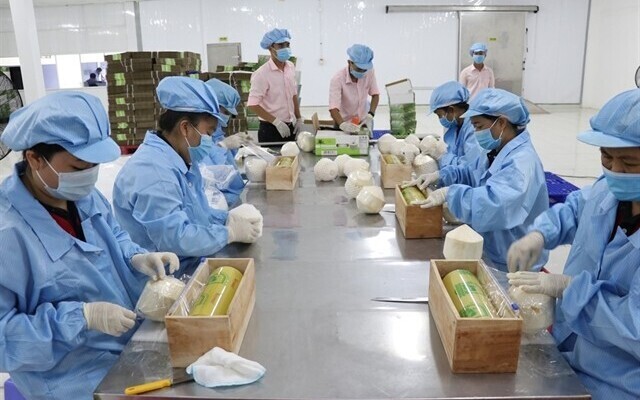 Vietnam sees many opportunities in coconut exports