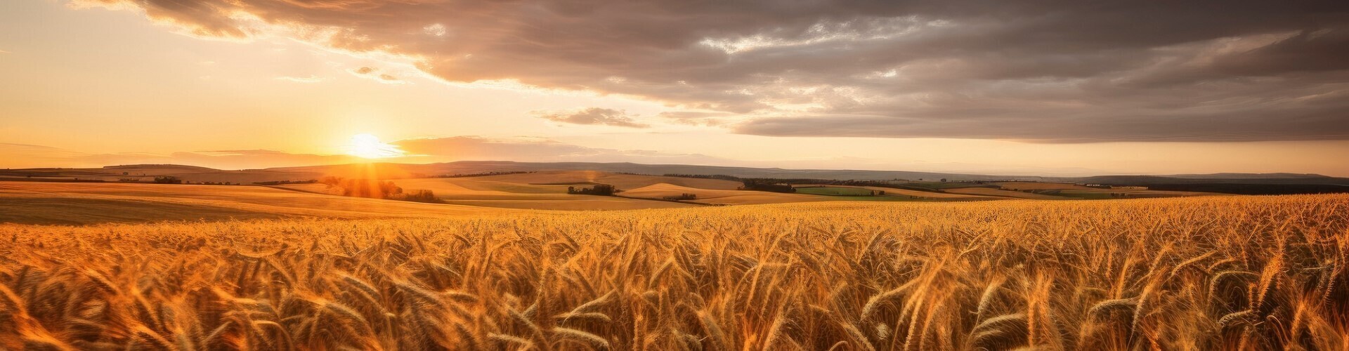 Our Experience - Your Advantage