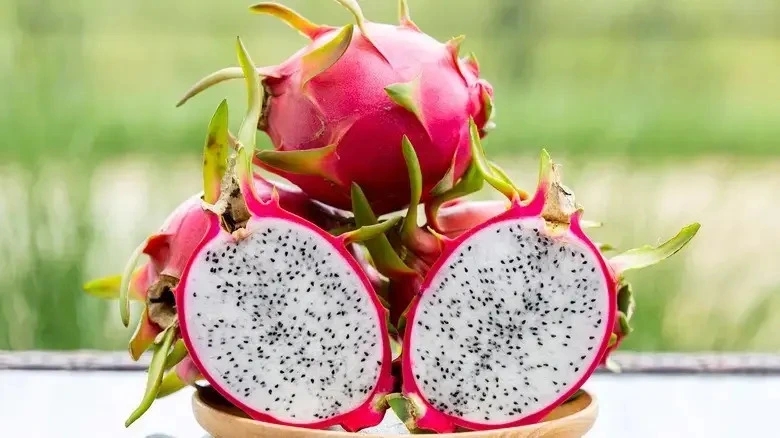 dragon fruit