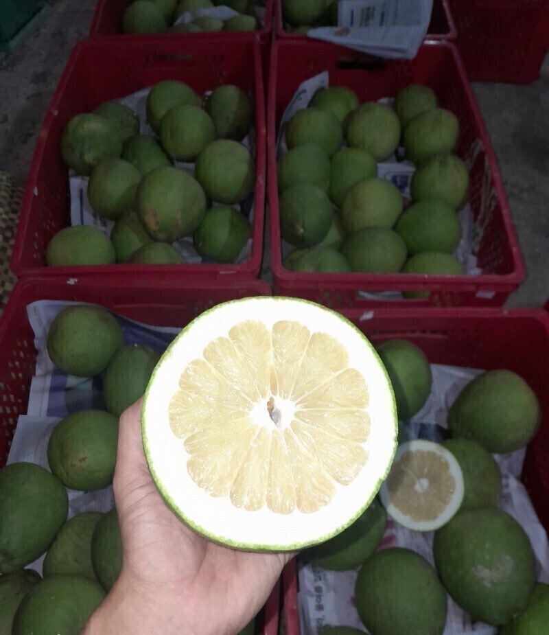 sweet pomelo white