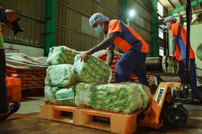 agricultural exports to asian markets increased