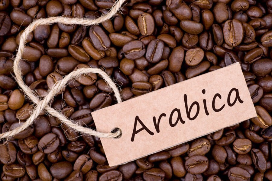 arabica