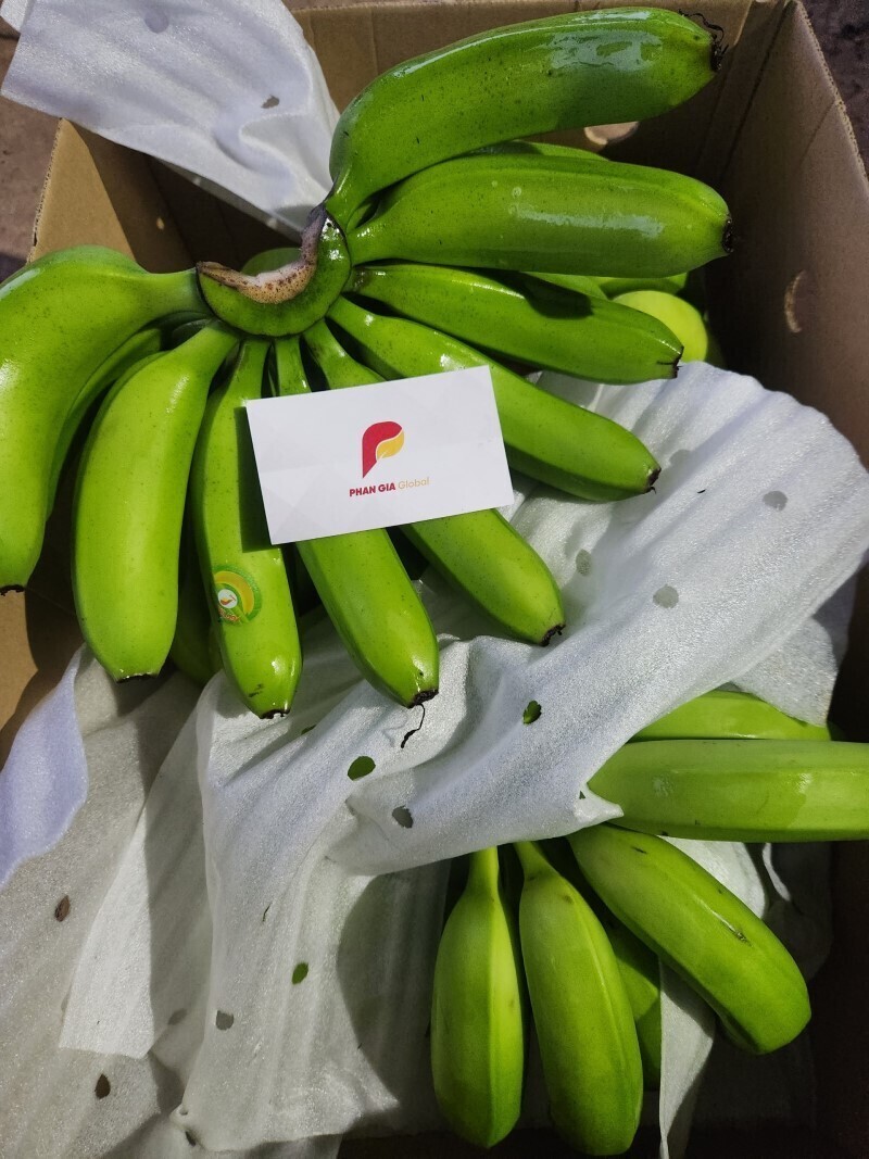 z4882195054666-2a4abeb0de283282fcfa3099caa517d6n-khjkj