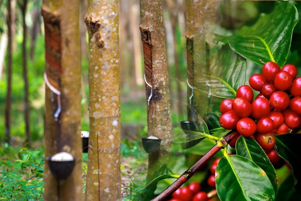 Phan Gia Global - Building Trust - Improving Quality