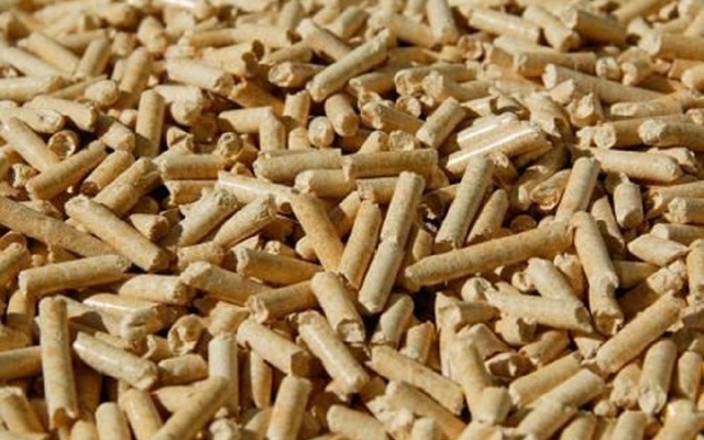 Xuất khẩu dăm gỗ và viên nén gỗ tiếp tục tăng trưởng mạnh