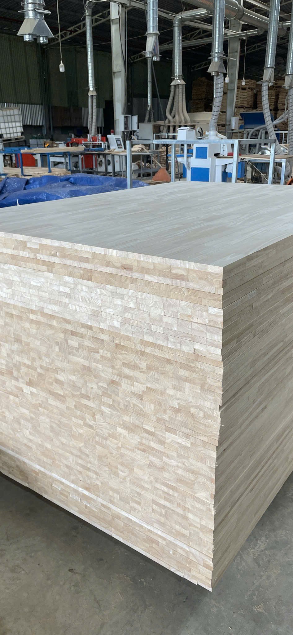 z5984393059978-e813724f3ab82c7f396dec80dee3d158