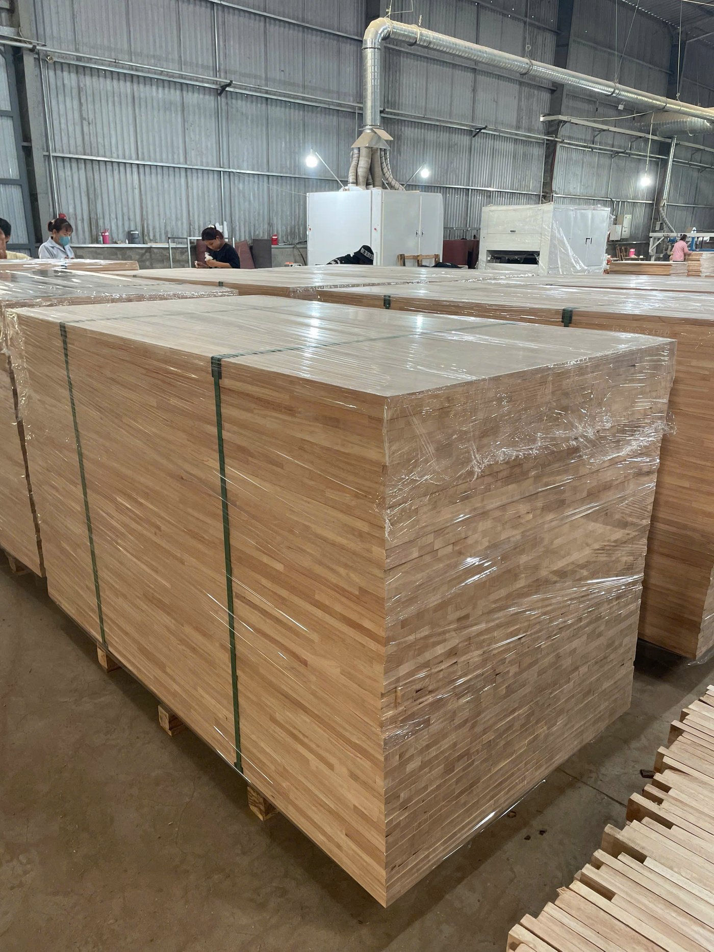 z5984393111541-b769341e8844010b0e40ccd80de10130