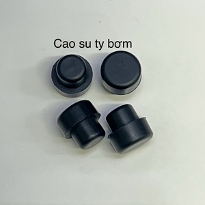 Cao su ty bơm
