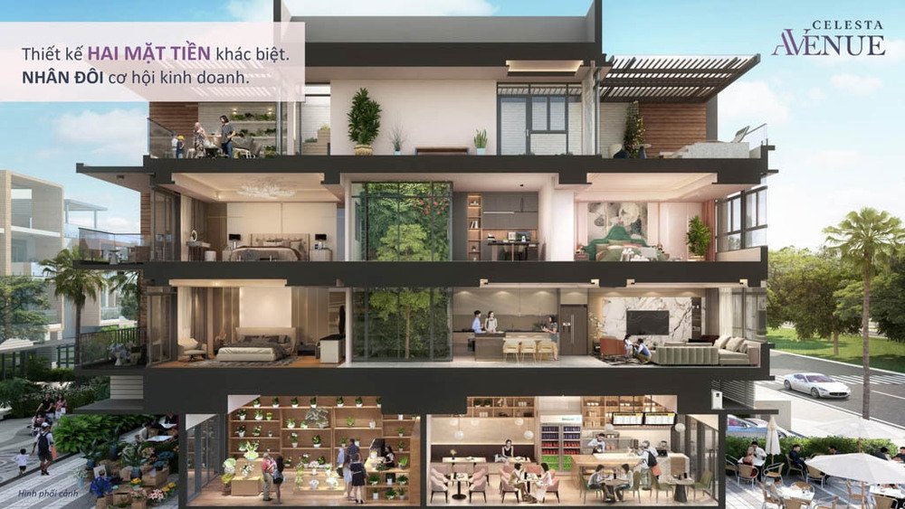 thiet-ke-shophouse-celesta-avenue