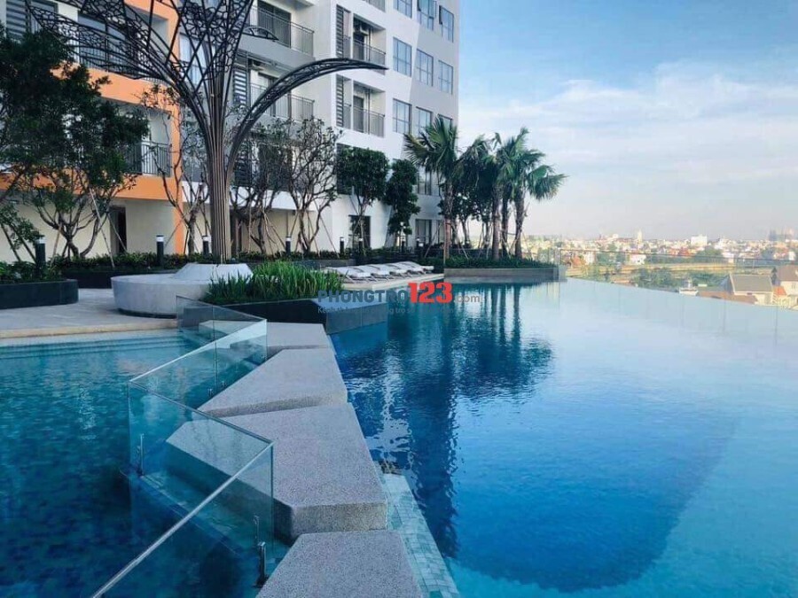 Bán Căn Hộ The Sun Avenue 1PN + 1 Suất SPA Người Nước Ngoài