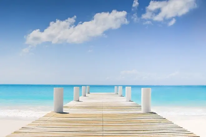 Chuyển nhượng Aqua City