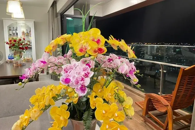 Chuyển nhượng 4pn Feliz En Vista nội thất cao cấp đã có sổ 173m2