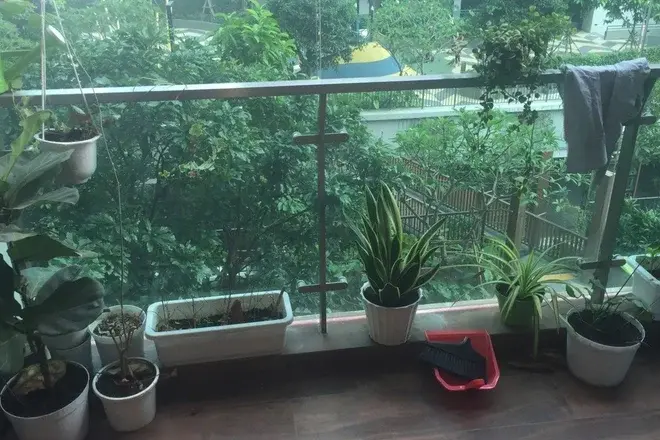 2PN tại Feliz En Vista cần bán 6,5 tỷ nội thất đầy đủ 85m2 ban công rộng