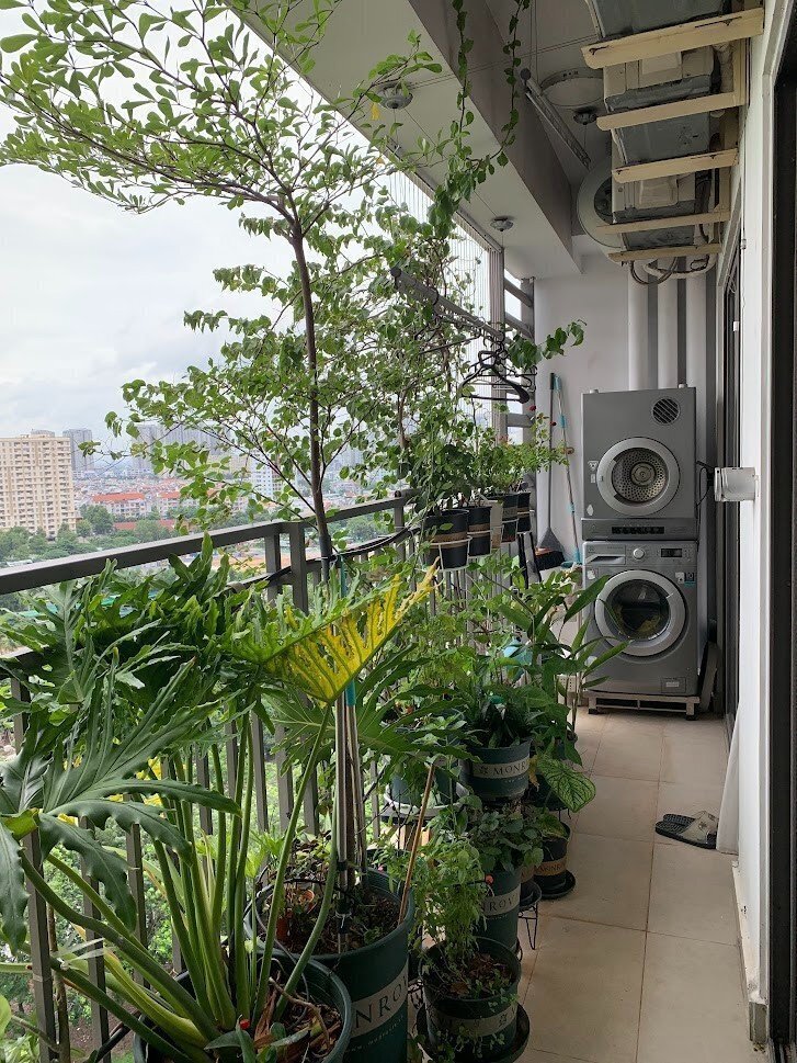 Chuyển nhượng 3 Phòng Ngủ giá 6,3 tỷ view Landmark 81 tuyệt đẹp The Sun Avenue