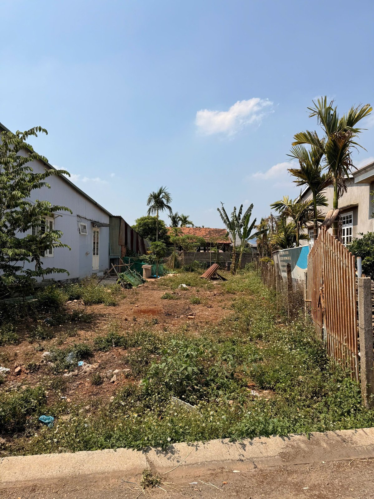 Bán Đất Mặt Tiền 12A Đạt Lý, Phường Tân An, BMT – Diện Tích Dài 37m