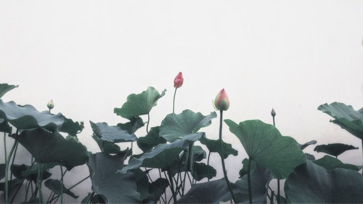 Thuận Thiên Group