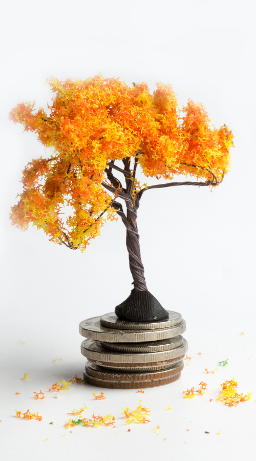 Thuận Thiên Group