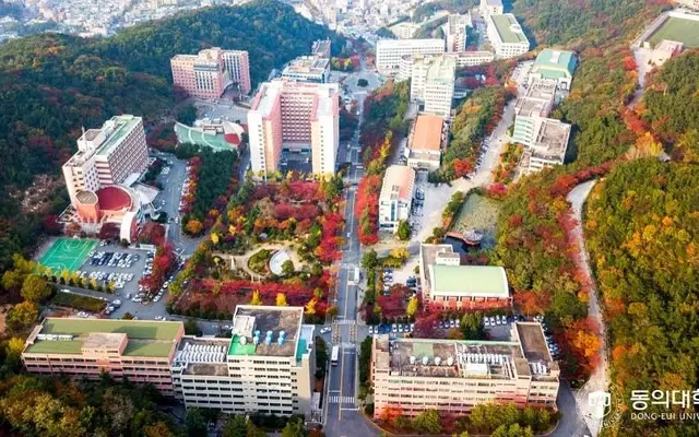 Trường đại học Dongeui Hàn Quốc