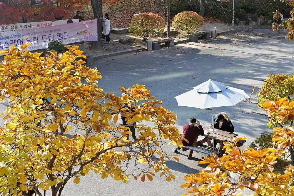 trường đại học kookmin hàn quốc
