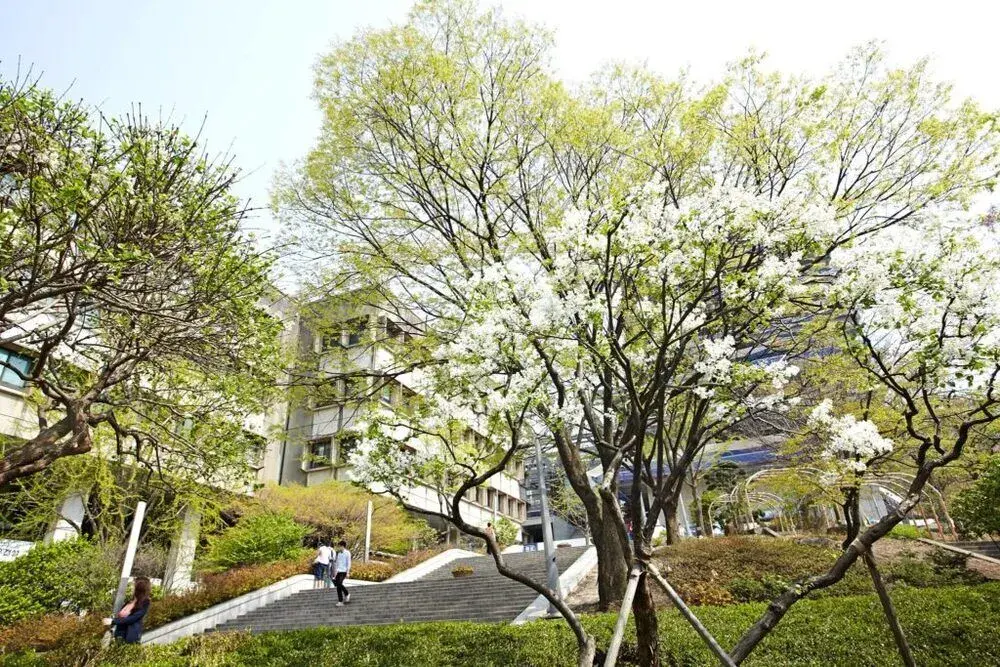 trường đại học quốc gia seoul hàn quốc
