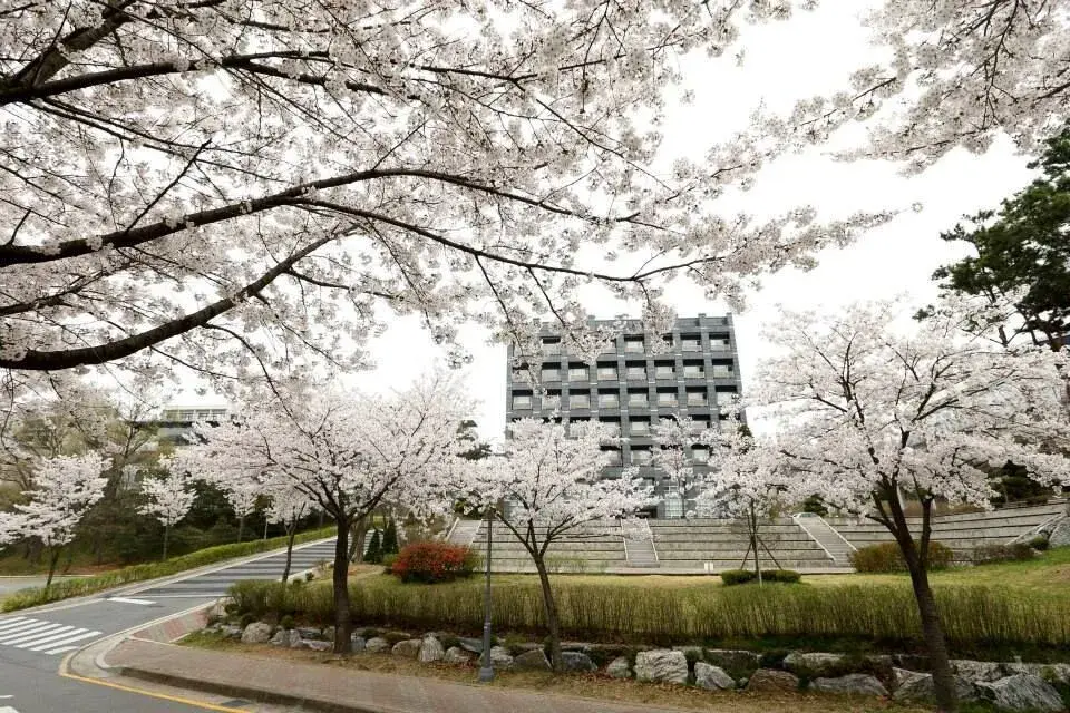 trường đại học myongji hàn quốc