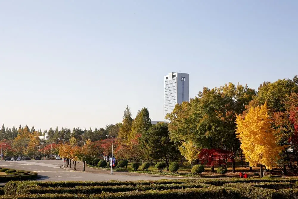 trường đại học yeungnam hàn quốc