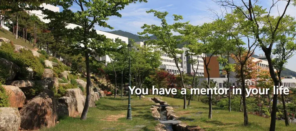 trường đại học youngsan hàn quốc