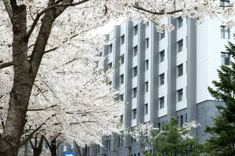 trường đại học myongji hàn quốc