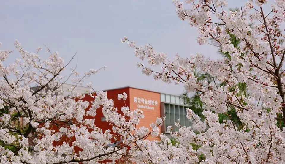 trường đại học sungkyunkwan hàn quốc