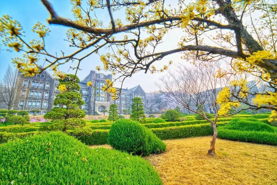 trường đại học yonsei hàn quốc