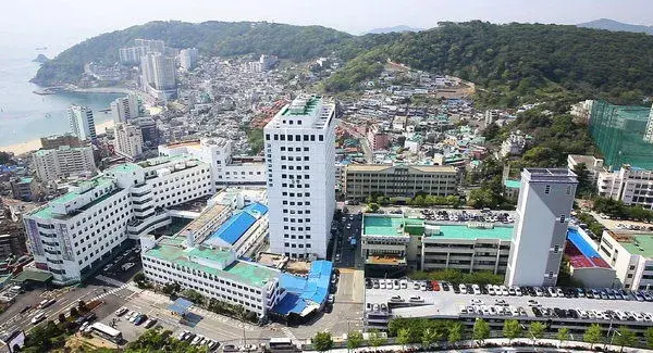 trường đại học kosin hàn quốc