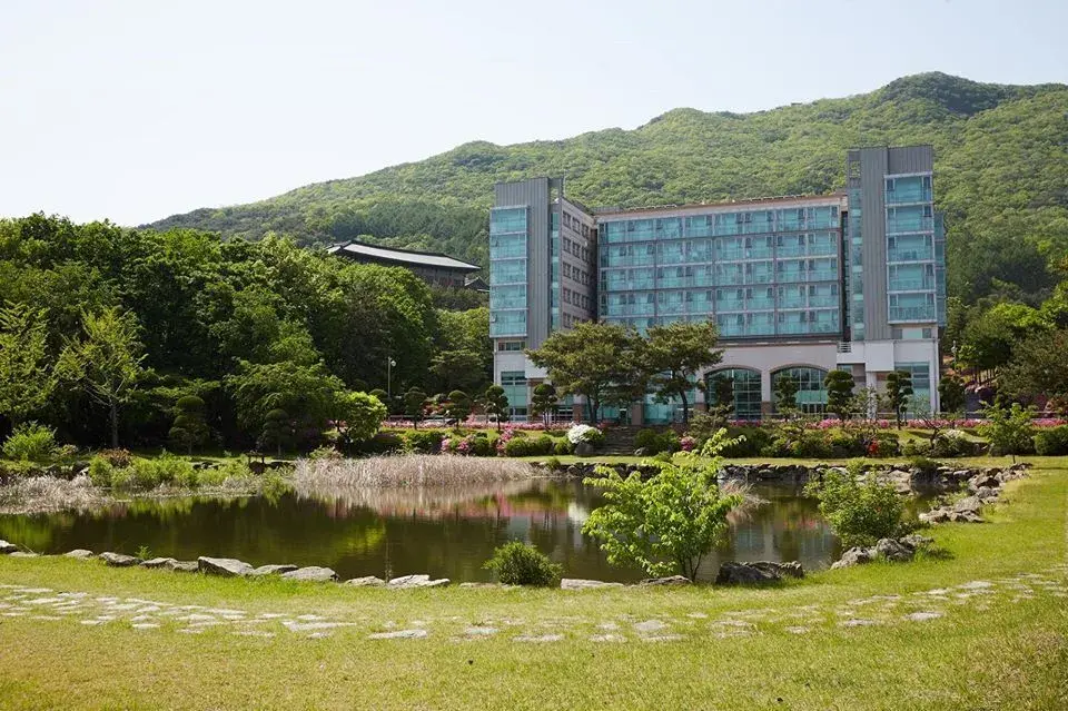 trường đại học daejin hàn quốc