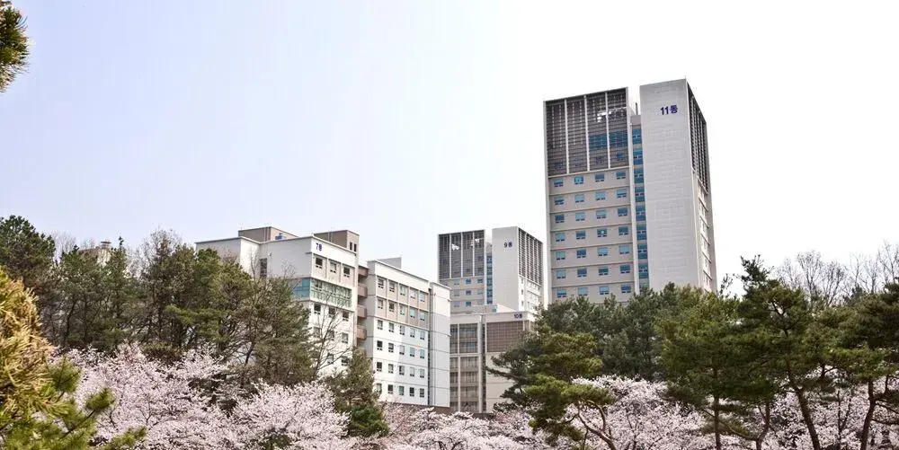 trường đại học quốc gia chungnam hàn quốc